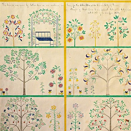 Polly Collins gift drawing detail